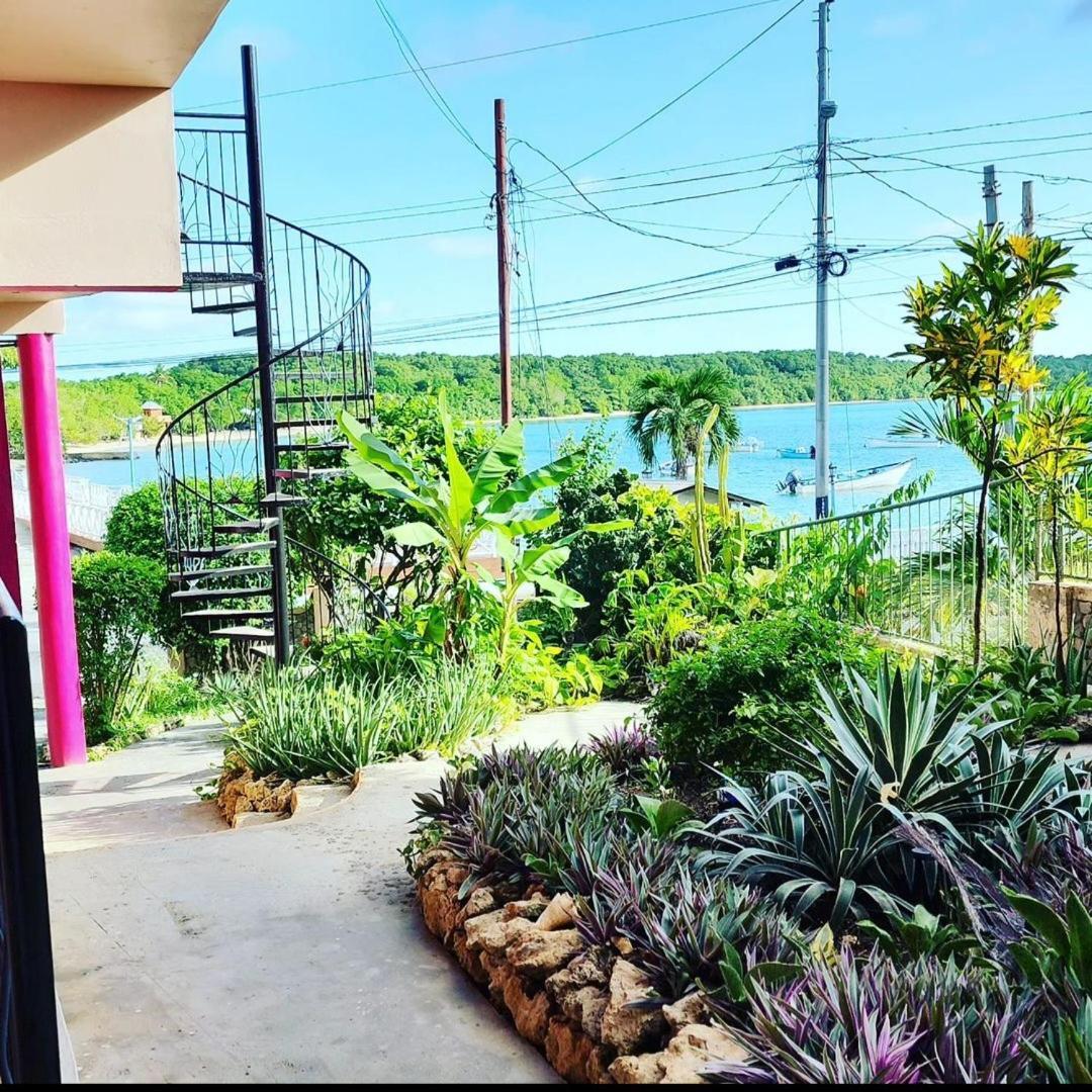 Buccoo The Seaside Garden Guesthouse מראה חיצוני תמונה